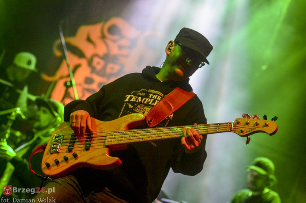 Dni Księstwa Brzeskiego - dzień 3. Koncert Kamila Bednarka. [fotorelacja]