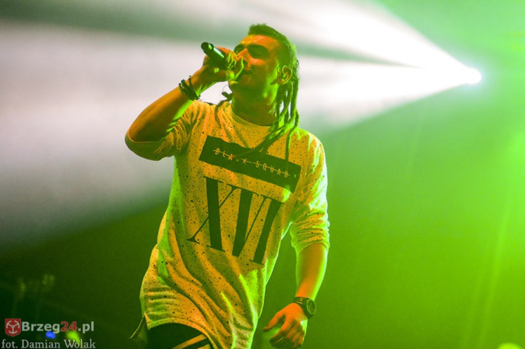 Dni Księstwa Brzeskiego - dzień 3. Koncert Kamila Bednarka. [fotorelacja]