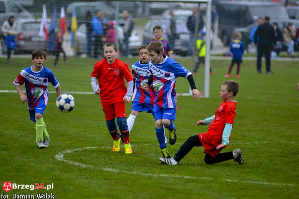 Grodkowski Piknik Piłkarski - Majówka 2017
