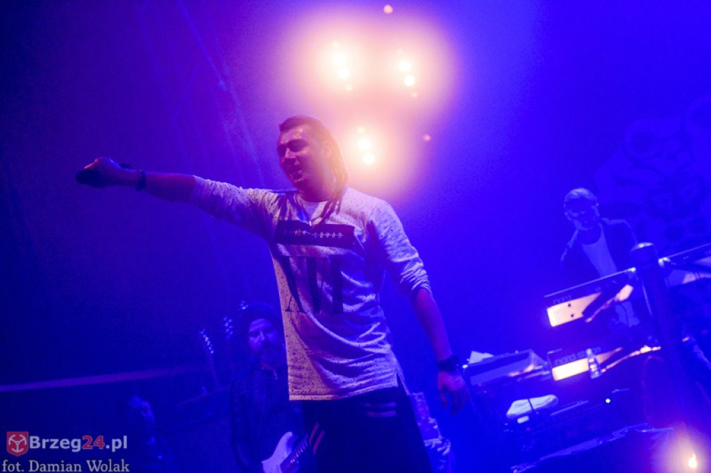 Dni Księstwa Brzeskiego - dzień 3. Koncert Kamila Bednarka. [fotorelacja]