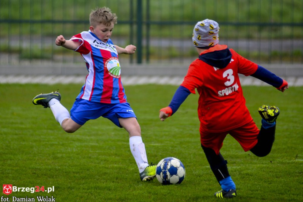 Grodkowski Piknik Piłkarski - Majówka 2017