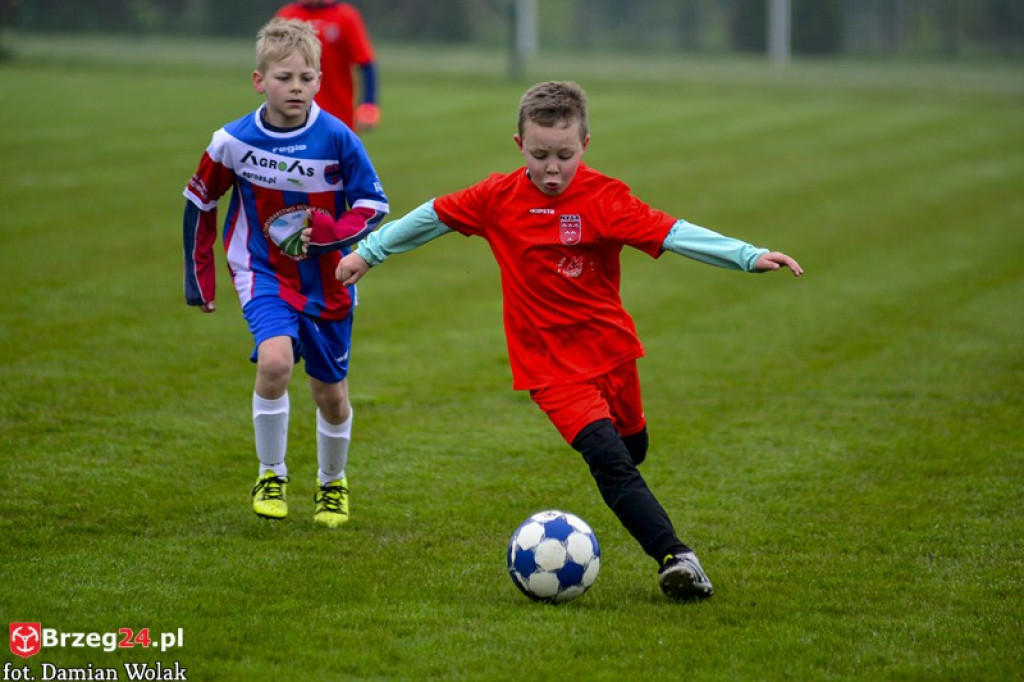 Grodkowski Piknik Piłkarski - Majówka 2017