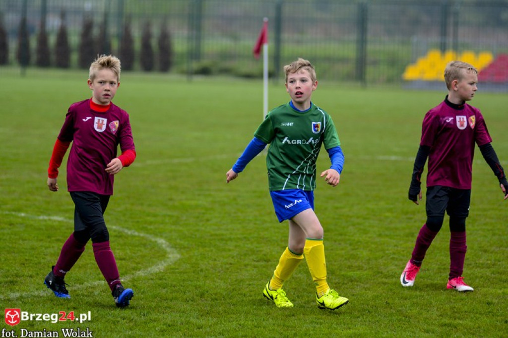 Grodkowski Piknik Piłkarski - Majówka 2017