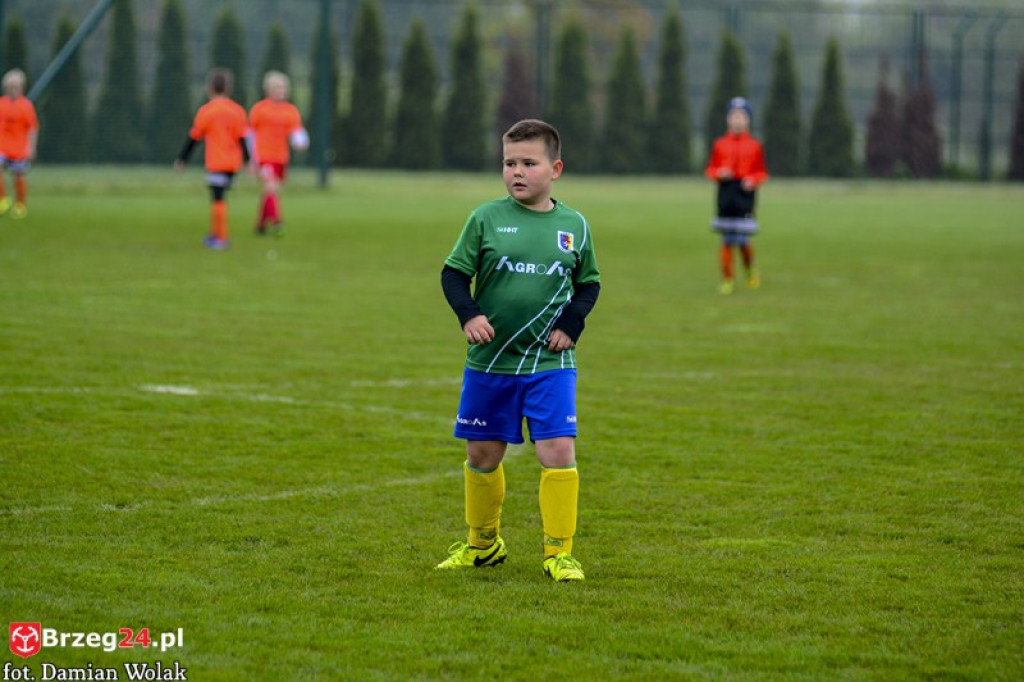 Grodkowski Piknik Piłkarski - Majówka 2017