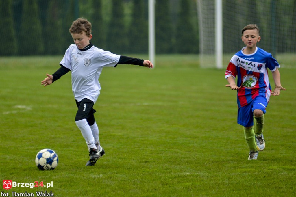 Grodkowski Piknik Piłkarski - Majówka 2017
