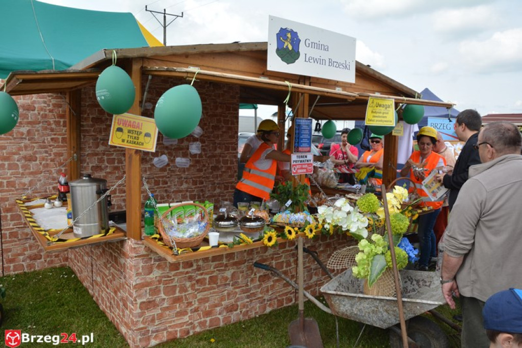 Święto Powiatu Brzeskiego dzień 1. [fotorelacja]