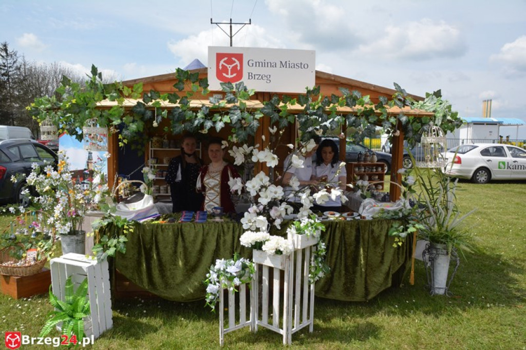 Święto Powiatu Brzeskiego dzień 1. [fotorelacja]