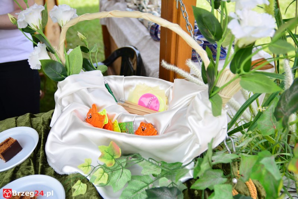 Święto Powiatu Brzeskiego dzień 1. [fotorelacja]