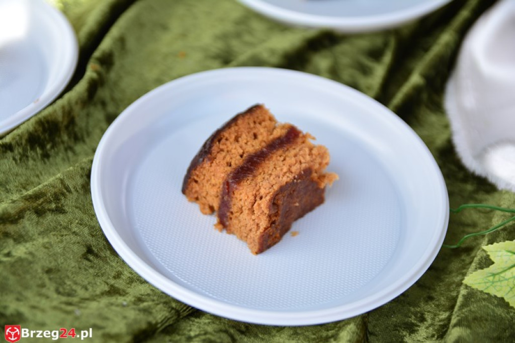 Święto Powiatu Brzeskiego dzień 1. [fotorelacja]