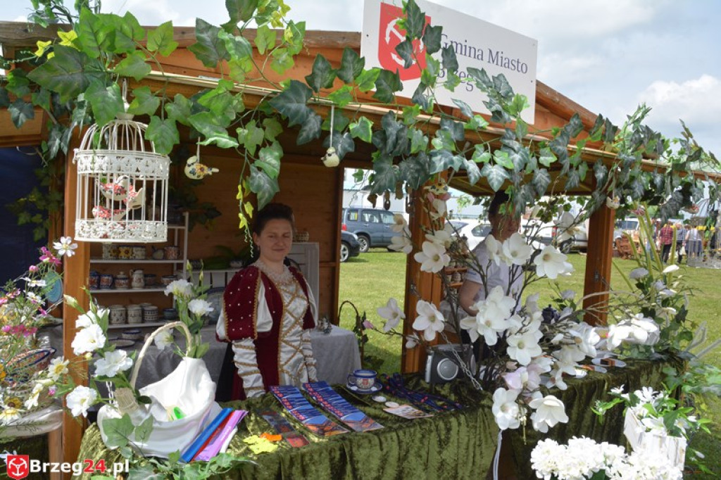 Święto Powiatu Brzeskiego dzień 1. [fotorelacja]