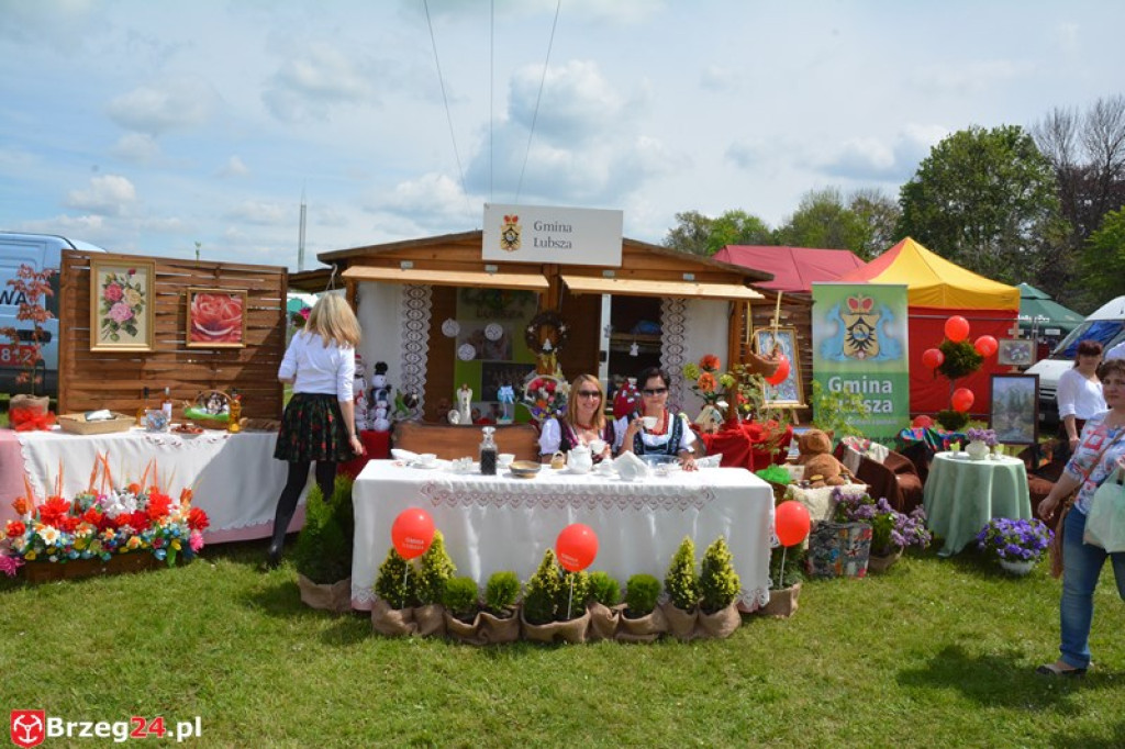 Święto Powiatu Brzeskiego dzień 1. [fotorelacja]