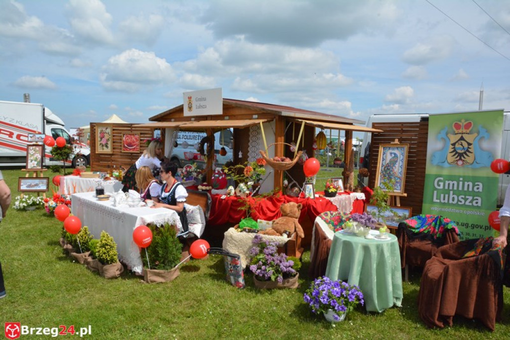 Święto Powiatu Brzeskiego dzień 1. [fotorelacja]
