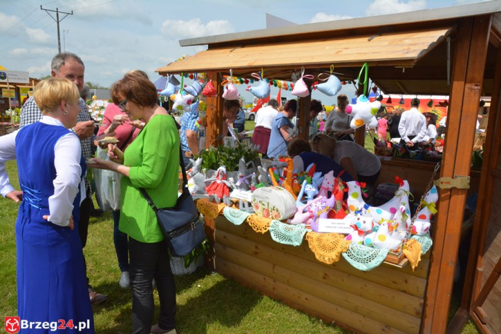 Święto Powiatu Brzeskiego dzień 1. [fotorelacja]
