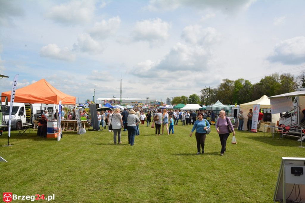 Święto Powiatu Brzeskiego dzień 1. [fotorelacja]