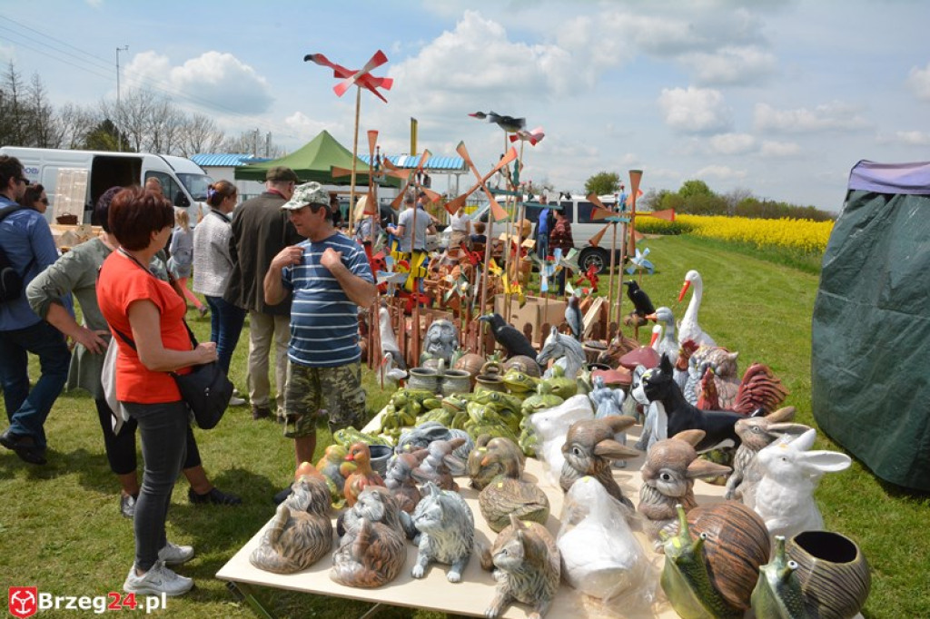 Święto Powiatu Brzeskiego dzień 1. [fotorelacja]