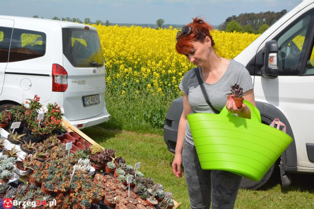 Święto Powiatu Brzeskiego dzień 1. [fotorelacja]