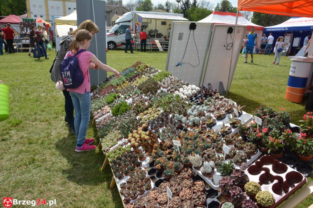 Święto Powiatu Brzeskiego dzień 1. [fotorelacja]