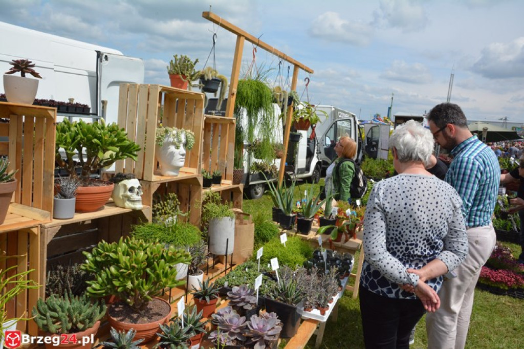 Święto Powiatu Brzeskiego dzień 1. [fotorelacja]