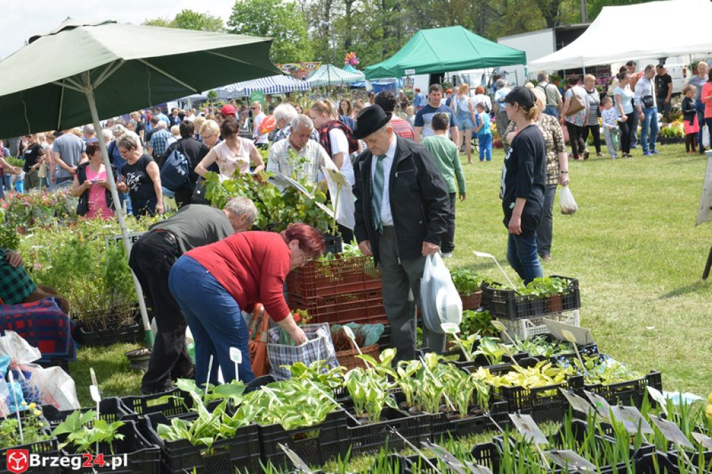 Święto Powiatu Brzeskiego dzień 1. [fotorelacja]