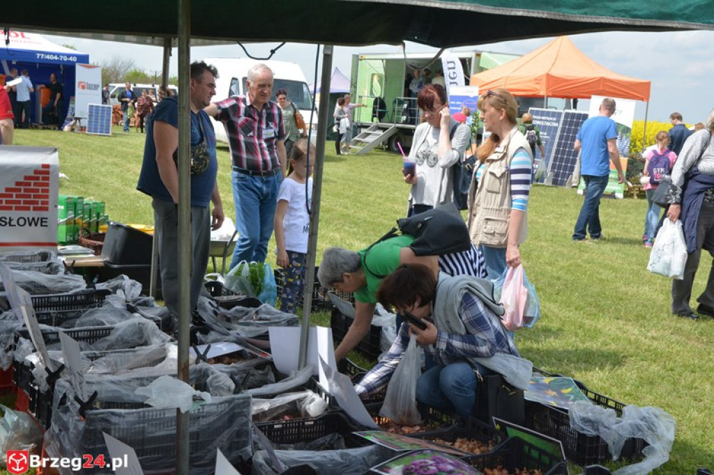 Święto Powiatu Brzeskiego dzień 1. [fotorelacja]