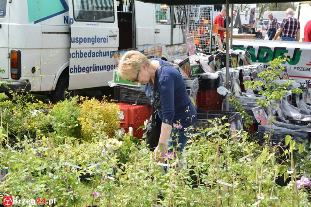 Święto Powiatu Brzeskiego dzień 1. [fotorelacja]