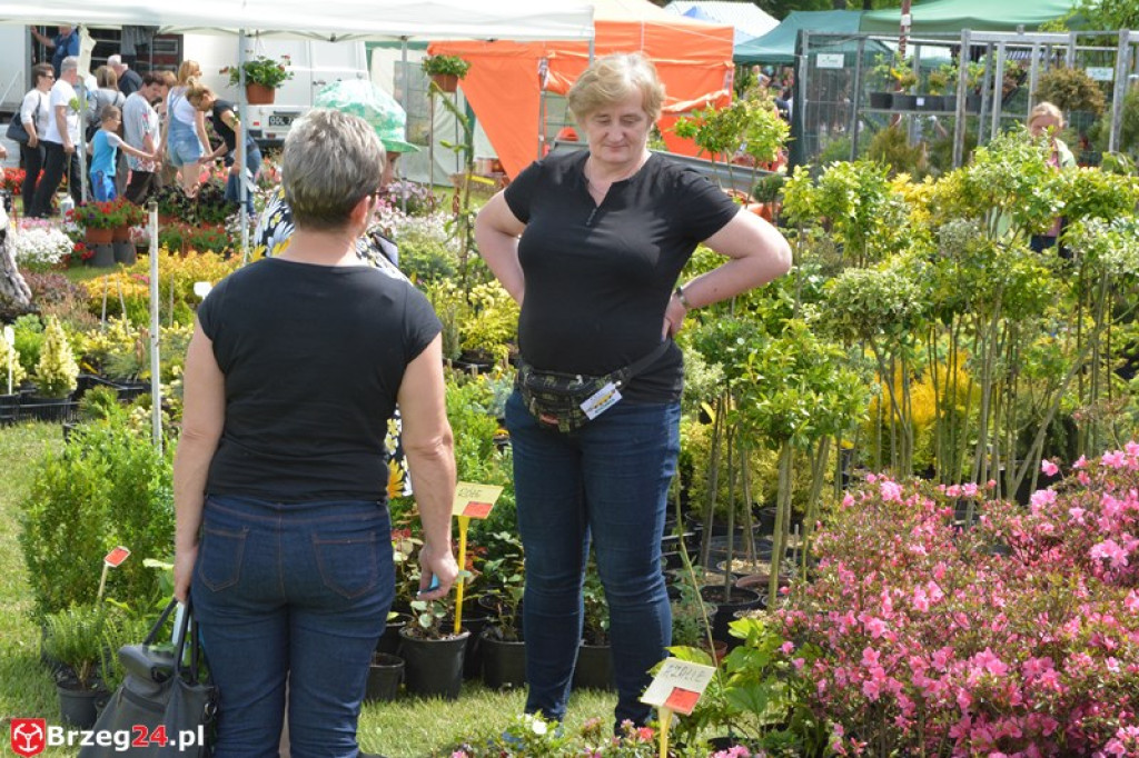 Święto Powiatu Brzeskiego dzień 1. [fotorelacja]