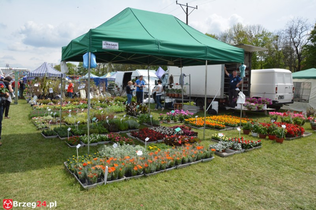 Święto Powiatu Brzeskiego dzień 1. [fotorelacja]