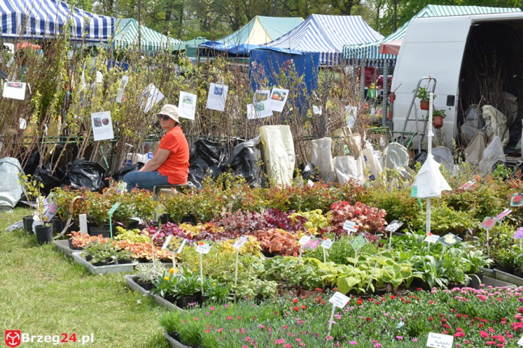 Święto Powiatu Brzeskiego dzień 1. [fotorelacja]