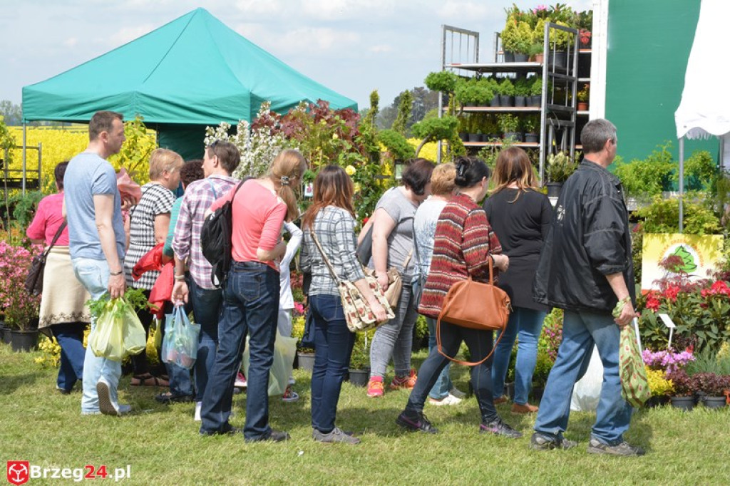 Święto Powiatu Brzeskiego dzień 1. [fotorelacja]