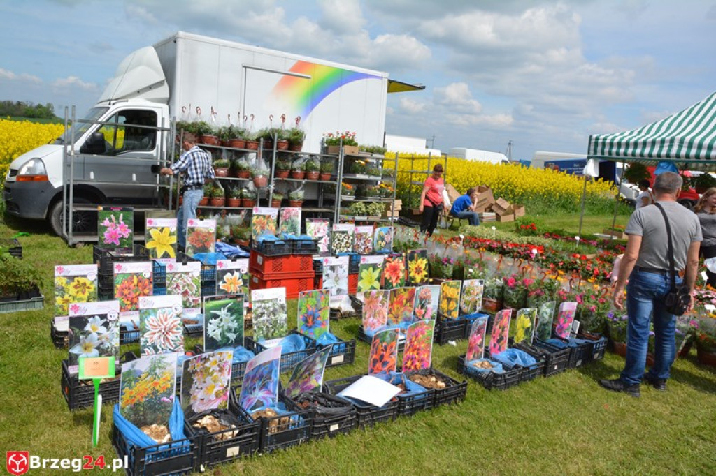 Święto Powiatu Brzeskiego dzień 1. [fotorelacja]