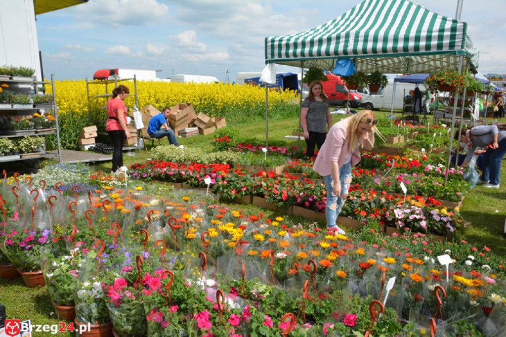 Święto Powiatu Brzeskiego dzień 1. [fotorelacja]
