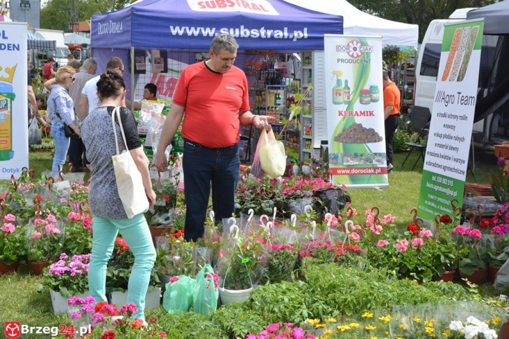 Święto Powiatu Brzeskiego dzień 1. [fotorelacja]