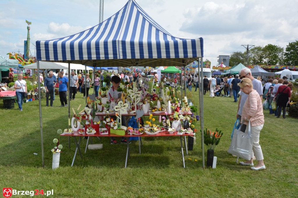 Święto Powiatu Brzeskiego dzień 1. [fotorelacja]