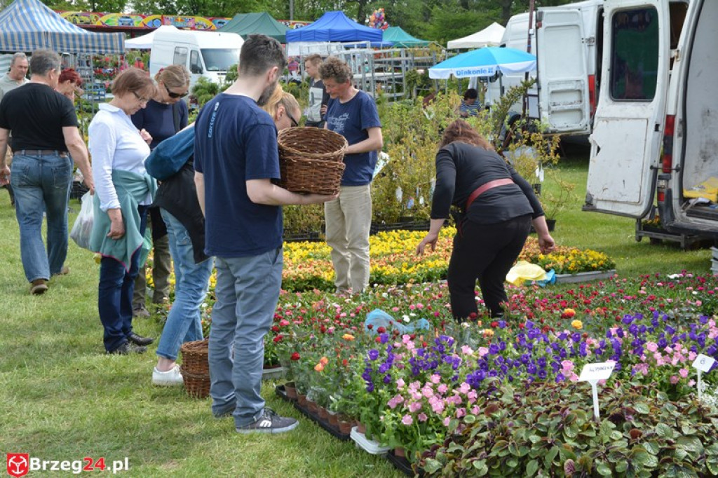 Święto Powiatu Brzeskiego dzień 1. [fotorelacja]