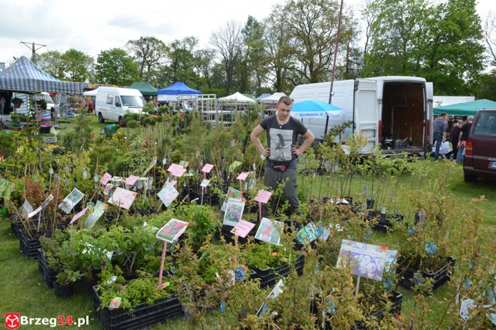 Święto Powiatu Brzeskiego dzień 1. [fotorelacja]