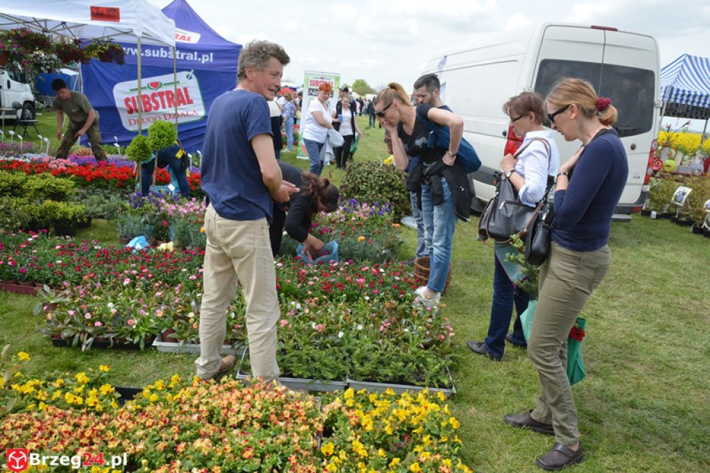 Święto Powiatu Brzeskiego dzień 1. [fotorelacja]