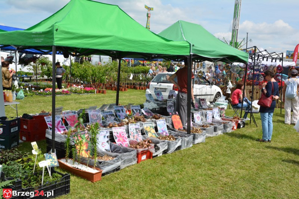 Święto Powiatu Brzeskiego dzień 1. [fotorelacja]