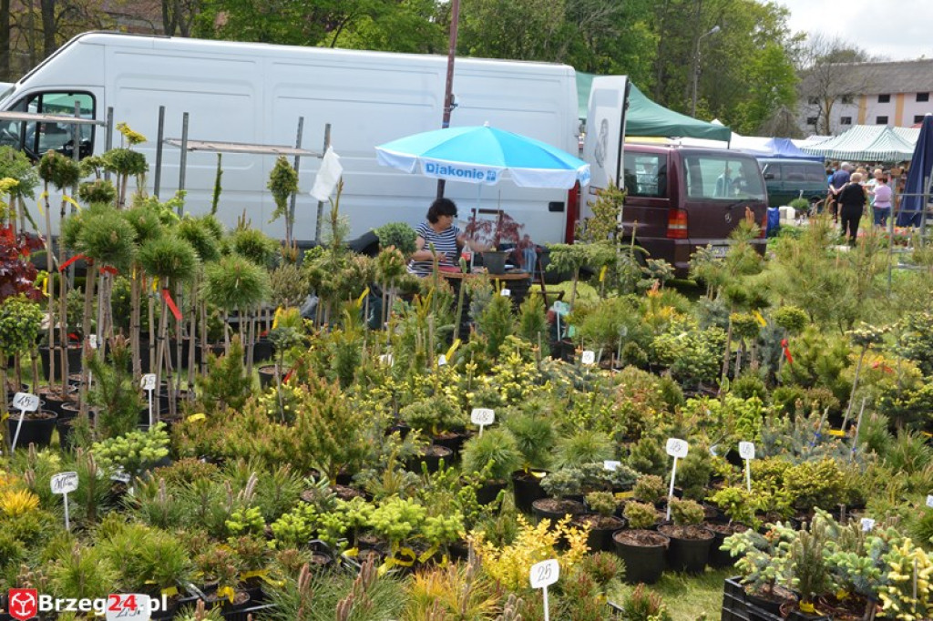 Święto Powiatu Brzeskiego dzień 1. [fotorelacja]