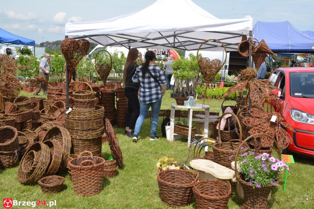 Święto Powiatu Brzeskiego dzień 1. [fotorelacja]