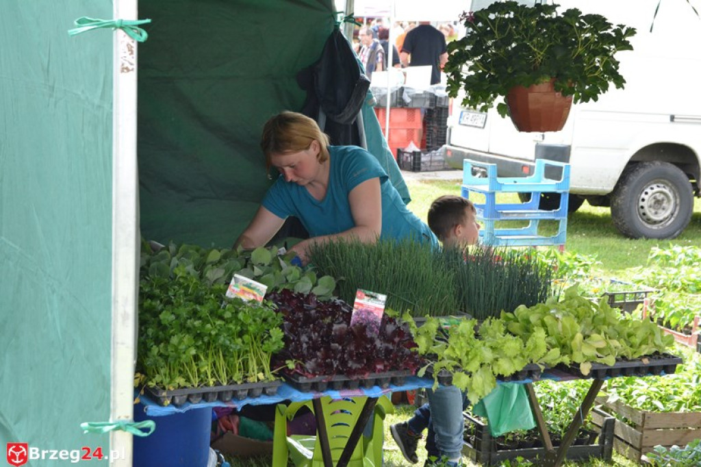 Święto Powiatu Brzeskiego dzień 1. [fotorelacja]