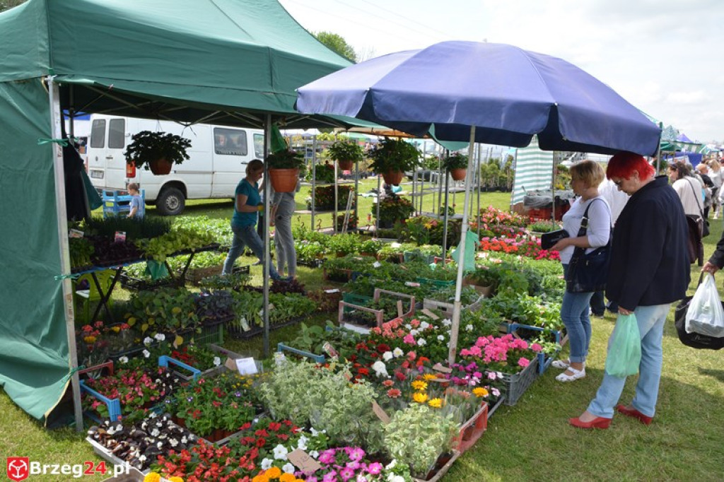 Święto Powiatu Brzeskiego dzień 1. [fotorelacja]