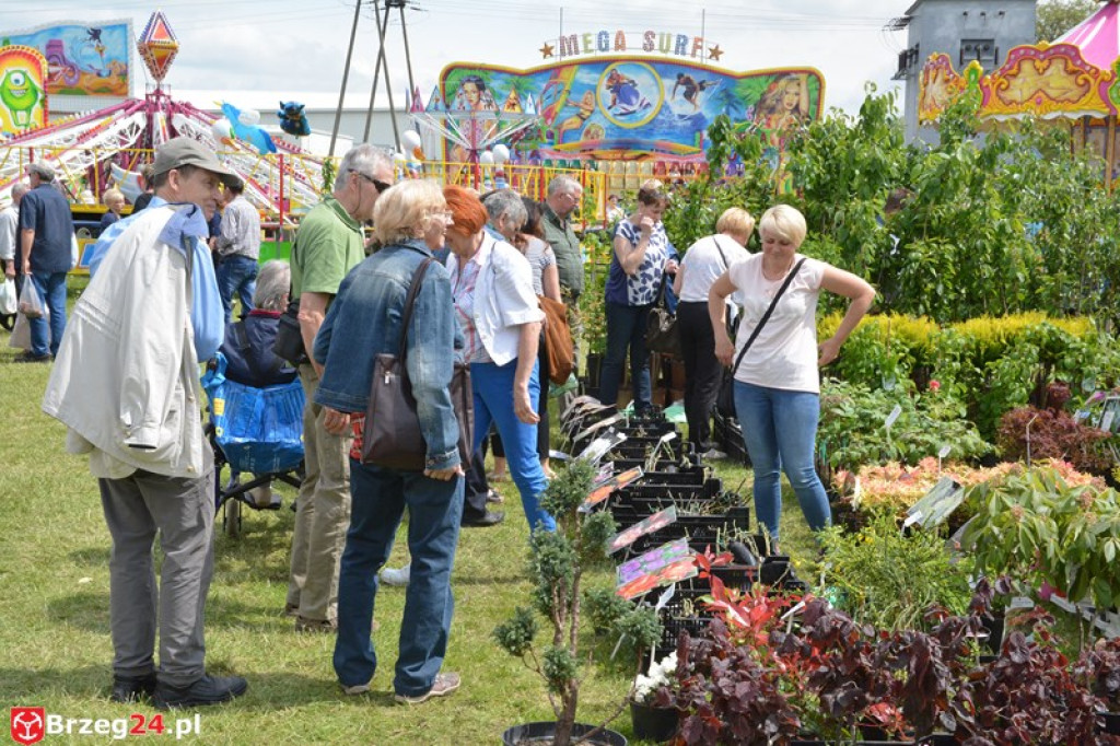 Święto Powiatu Brzeskiego dzień 1. [fotorelacja]