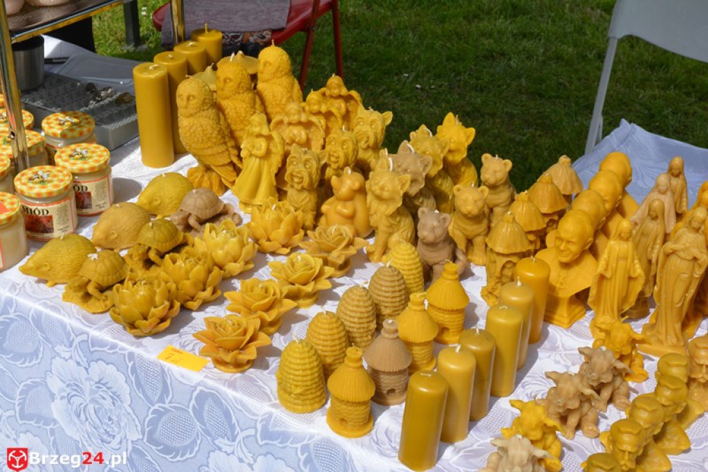 Święto Powiatu Brzeskiego dzień 1. [fotorelacja]