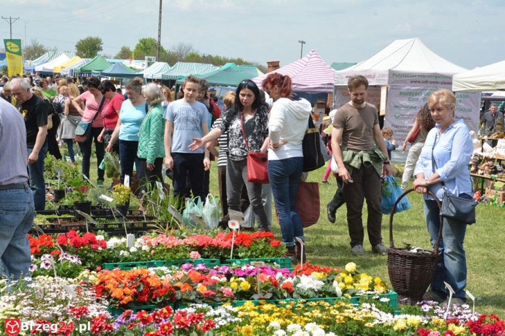 Święto Powiatu Brzeskiego dzień 1. [fotorelacja]