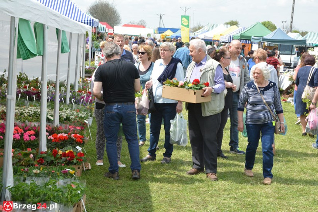 Święto Powiatu Brzeskiego dzień 1. [fotorelacja]