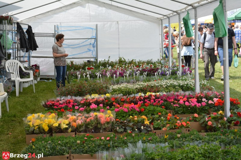 Święto Powiatu Brzeskiego dzień 1. [fotorelacja]