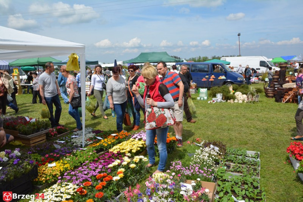 Święto Powiatu Brzeskiego dzień 1. [fotorelacja]