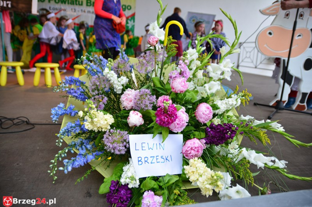 Święto Powiatu Brzeskiego dzień 1. [fotorelacja]