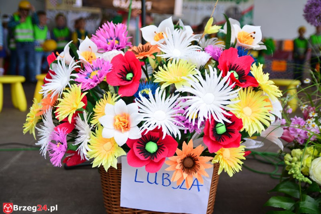 Święto Powiatu Brzeskiego dzień 1. [fotorelacja]