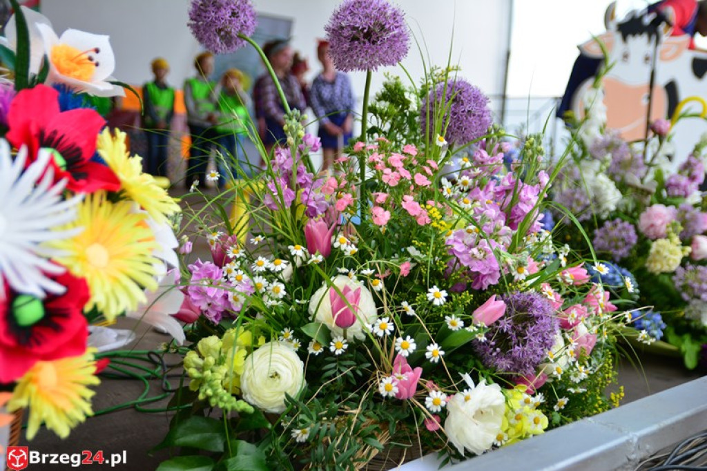 Święto Powiatu Brzeskiego dzień 1. [fotorelacja]